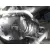RENAULT LAGUNA II (BG0) RENAULT LAGUNA II (BG0) '2002 AUTHENTIQUE PLATA 2001