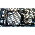 SEAT TOLEDO (1M2) SEAT TOLEDO (1M2) '2000 SELECT GRIS 1999
