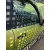 CITROEN C3 PICASSO '2010 SX PISTACHO