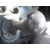 TOYOTA YARIS (NCP1/NLP1/SCP1) TOYOTA YARIS (NCP1/NLP1/SCP1) '2004 1.3 PLATA 2004