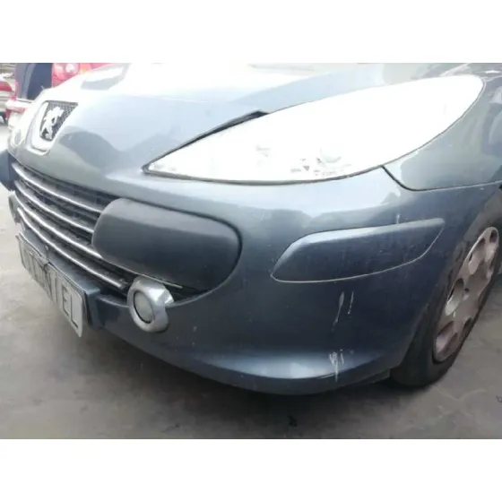 PEUGEOT 307 BREAK/SW (S2) '2007 SW GRIS