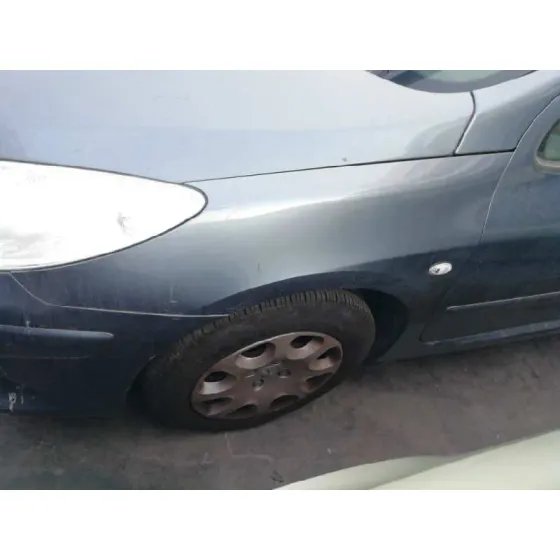 PEUGEOT 307 BREAK/SW (S2) '2007 SW GRIS