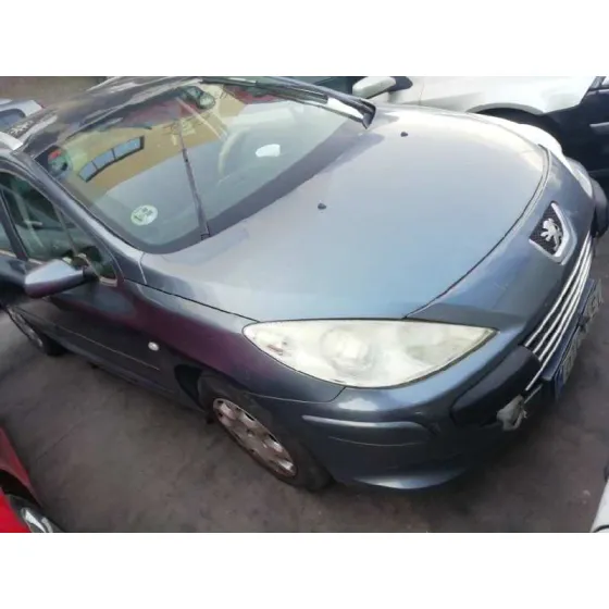 PEUGEOT 307 BREAK/SW (S2) '2007 SW GRIS