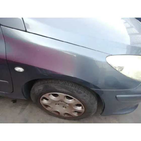 PEUGEOT 307 BREAK/SW (S2) '2007 SW GRIS
