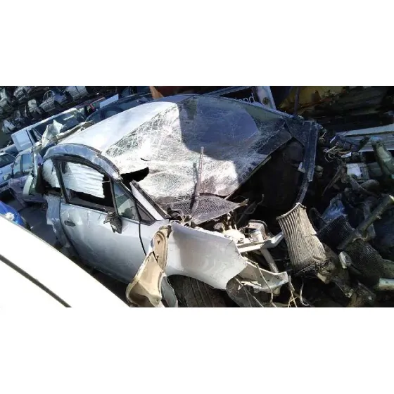 CITROEN C4 COUPE '2006 COLLECTION GRIS AZULADO