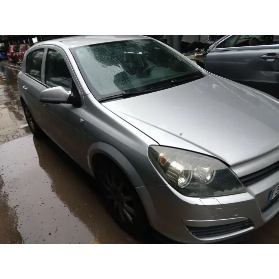 Z19DTH MANUAL 6V
