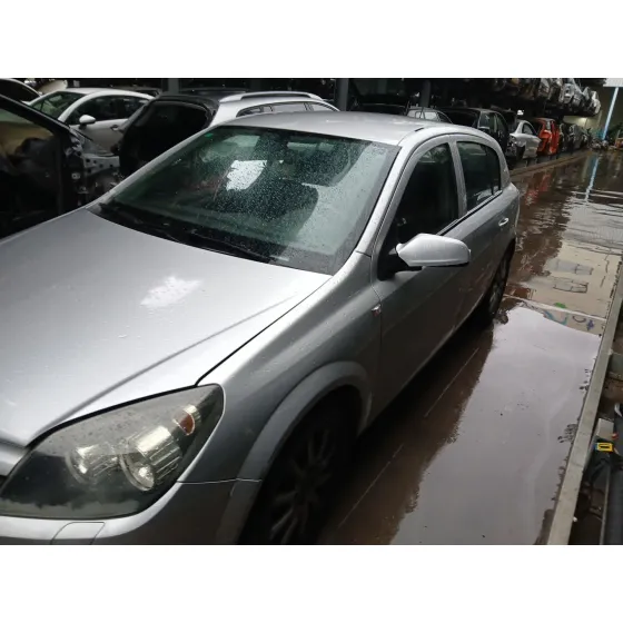 Z19DTH MANUAL 6V