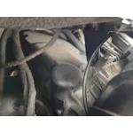 MERCEDES-BENZ VITO / MIXTO FURGONETA (W639) MOTOR 646980 MANUAL 6V CVF/KW:13.90/70 2006