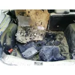 FORD FOCUS LIM. (CB8) FORD FOCUS LIM. (CB8) '2012 TREND BLANCO 2010