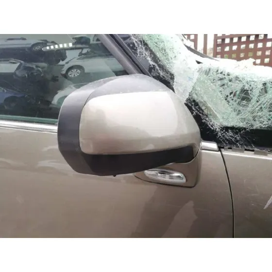 CITROEN C4 PICASSO '2007 LX PLUS CHAMPAN