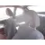 HYUNDAI COUPE (RD) HYUNDAI COUPE (RD) '2001 1.6 FX ROJO 2001