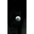 FORD TRANSIT CONNECT (TC7) FORD TRANSIT CONNECT (TC7) '2007 FURGON (2006->) BLANCO 2006