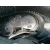 AUDI A3 SPORTBACK (8P) AUDI A3 SPORTBACK (8P) '2010 1.8 TFSI AMBITION NEGRO 2007