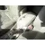 KIA SPORTAGE KIA SPORTAGE '2007 EX NEGRO 2005