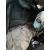VOLVO V40 VOLVO V40 '2017 KINETIC CHAMPANG CLARO 2012