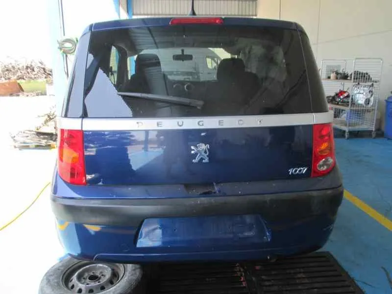PEUGEOT 1007 PEUGEOT 1007 '2005 1.4 AZUL 2005