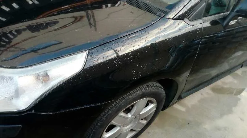 CITROEN C4 BERLINA '2008 COLLECTION NEGRO