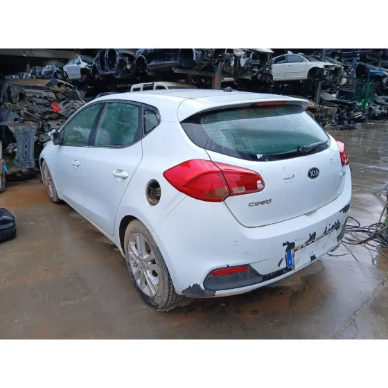 MOTOR D4FC. CAMBIO MANUAL 6V CVF/KW: 10,74/66