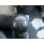 HYUNDAI H 1 HYUNDAI H 1 '2003 H 1 FURG.CAJA CERR.C. PUERTA PLATA 2003