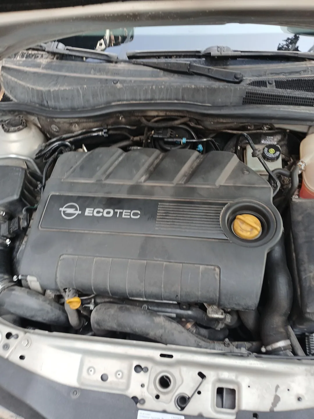 MOTOR Z19DTH MANUAL 6V CVF/KW: 12.94/110