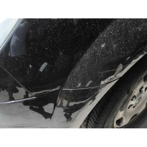 SSANGYONG REXTON '2006 * NEGRO