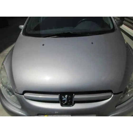 PEUGEOT 307 (S1) '2003 XS GRIS
