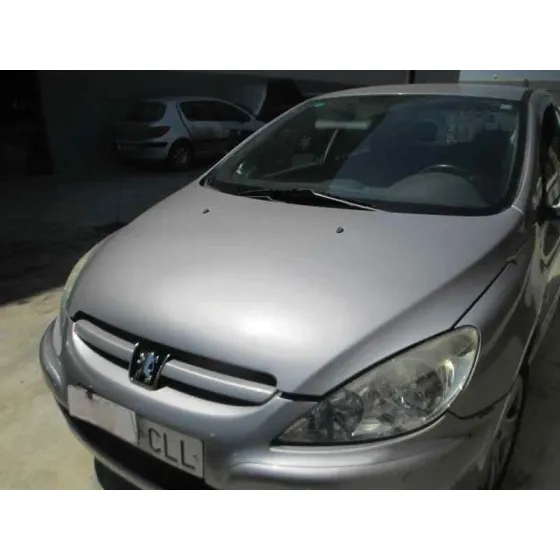 PEUGEOT 307 (S1) '2003 XS GRIS