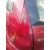 CITROEN C3 '2005 1.4 HDI SX PLUS ROJO