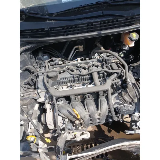 MOTOR G4LA MANUAL 5V CVF/KW: 10.04/61.8