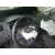 SEAT IBIZA (6J5) SEAT IBIZA (6J5) '2014 STYLE TECH PLATA 2013
