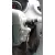 RENAULT CLIO III RENAULT CLIO III '2009 TOM TOM EDITION PLATA 2009