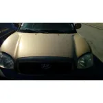 HYUNDAI SANTA FE (SM) HYUNDAI SANTA FE (SM) '2002 2.4 CAT MARRON 2000