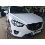 MOTOR SH.. CAMBIO MANUAL 6V 4X2 CVF/KW: 14.06/110