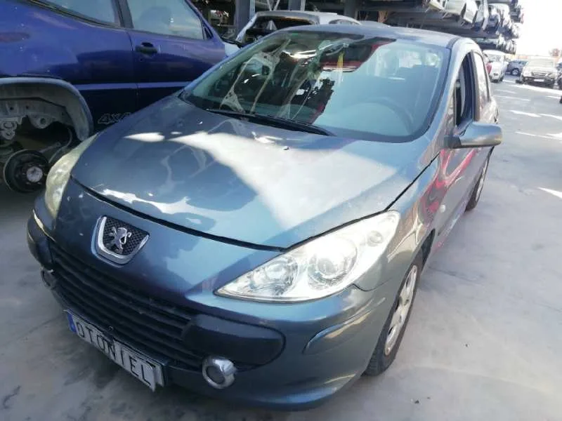 PEUGEOT 307 BERLINA (S2) PEUGEOT 307 BERLINA (S2) '2005 D-SIGN GRIS 2006