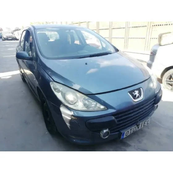 PEUGEOT 307 BERLINA (S2) '2005 D-SIGN GRIS