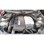MERCEDES-BENZ CLASE CLK (W209) COUPE MERCEDES CLASE CLK (W209) COUPE '2003 * BLANCO/QUEMADO 2002