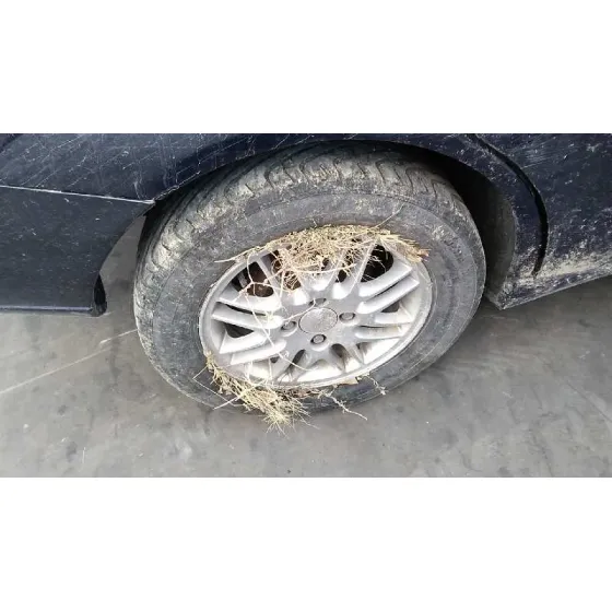 FORD FOCUS BERLINA (CAK) '2000 GHIA AZUL