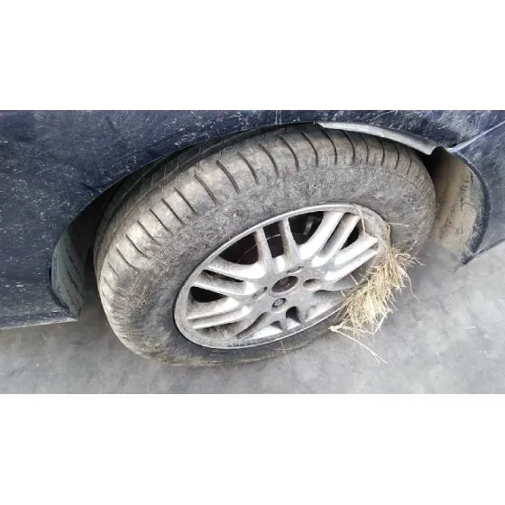 FORD FOCUS BERLINA (CAK) '2000 GHIA AZUL