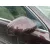 AUDI A8 (4E2) AUDI A8 (4E2) '2004 3.7 QUATTRO NEGRO 2002