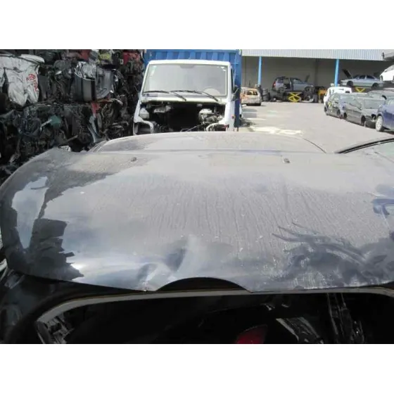 FORD FIESTA (CCN) '2013 CHAMPIONS EDITION NEGRO