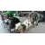 BMW X5 (E53) '2003 3.0 TURBODIESEL CAT NEGRO