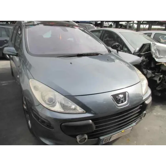 PEUGEOT 307 BREAK / SW (S1) '2005 SW PACK GRIS
