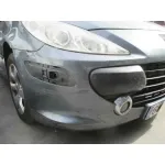 PEUGEOT 307 BREAK / SW (S1) '2005 SW PACK GRIS