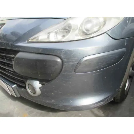 PEUGEOT 307 BREAK / SW (S1) '2005 SW PACK GRIS