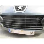 PEUGEOT 307 BREAK / SW (S1) '2005 SW PACK GRIS
