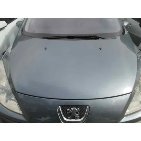PEUGEOT 307 BREAK / SW (S1) '2005 SW PACK GRIS