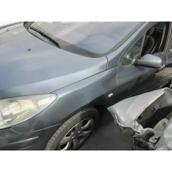 PEUGEOT 307 BREAK / SW (S1) '2005 SW PACK GRIS