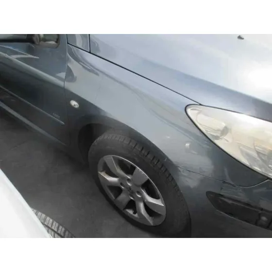 PEUGEOT 307 BREAK / SW (S1) '2005 SW PACK GRIS
