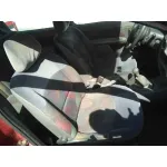 RENAULT CLIO II FASE I (B/CBO) RENAULT CLIO II FASE I (B/CBO) '2001 1.2 ALIZE ROJO 2000
