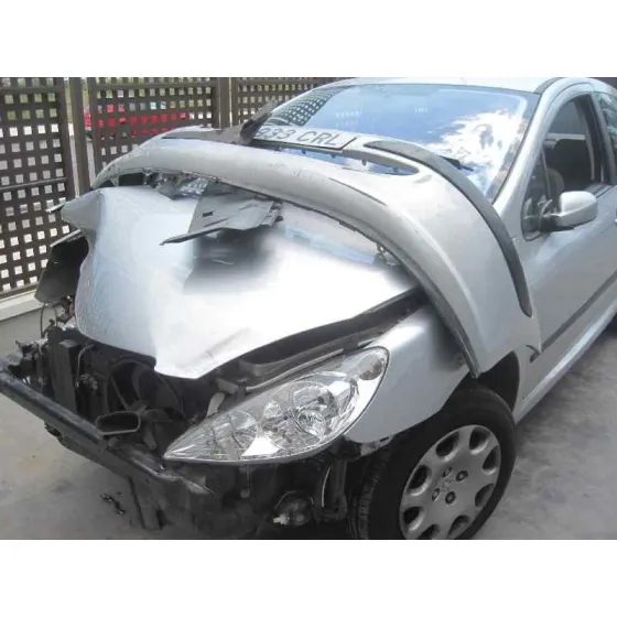 PEUGEOT 307 (S1) '2004 XR CLIM PLATA